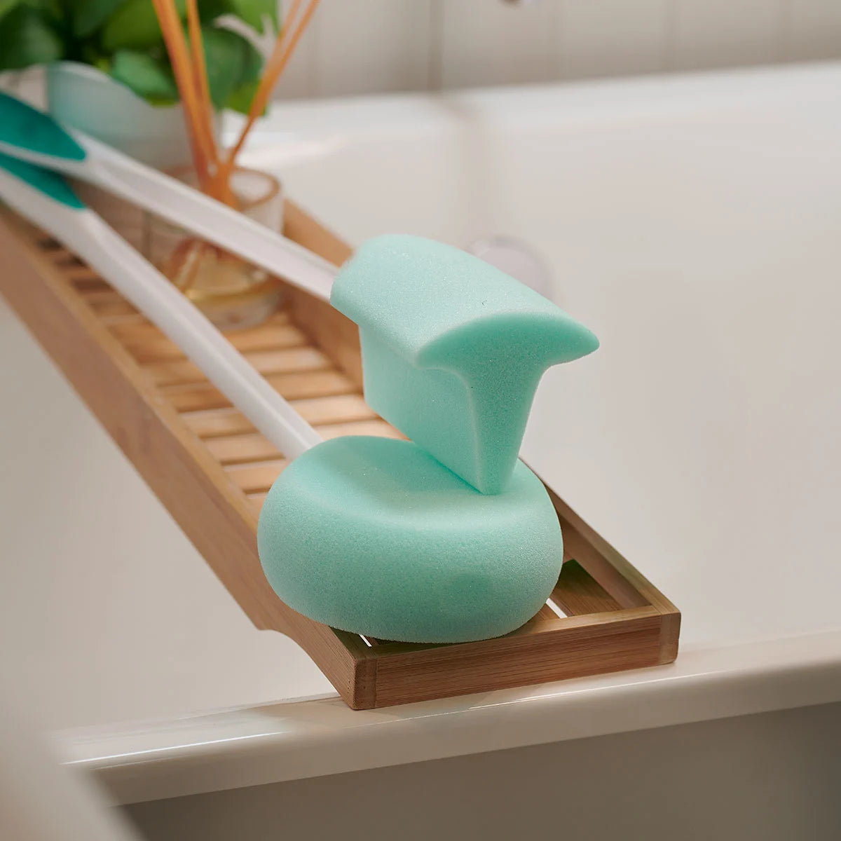 Long handled Bath Body Sponge.