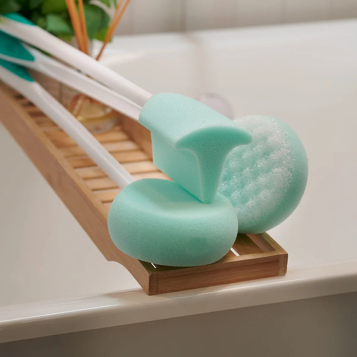 Long Handled Complete bath and shower sponge.