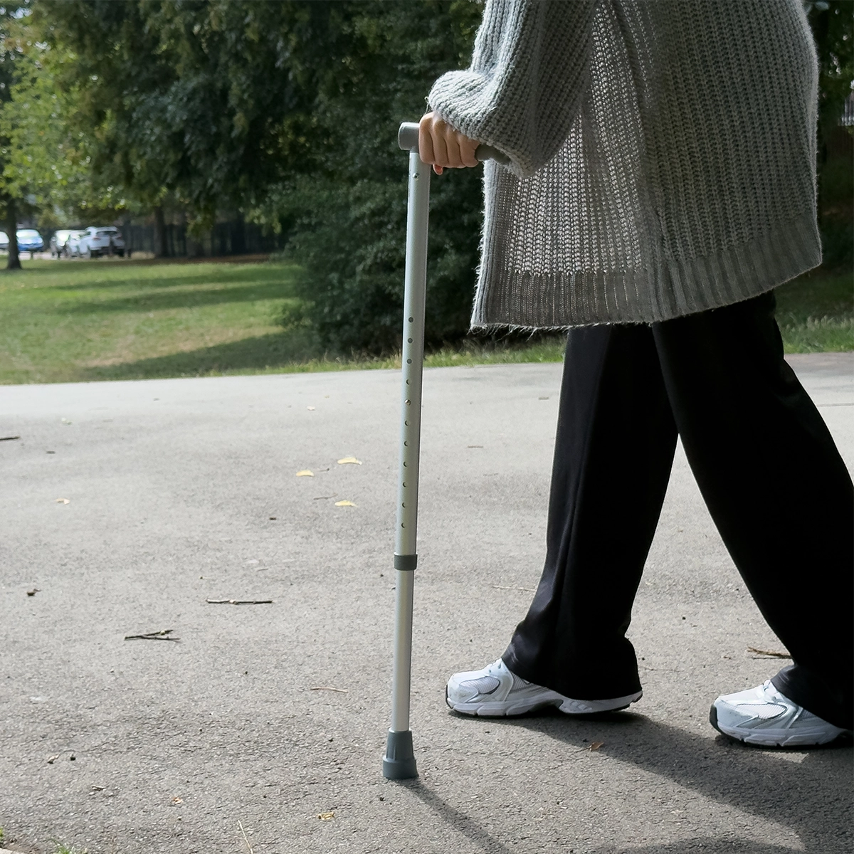 Aluminium Support Walking Stick